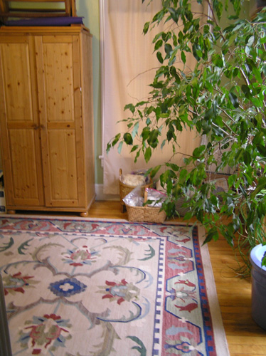 There's a rug on the floor!