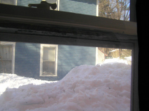 Snow Outside my Window